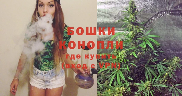 стафф Богородск