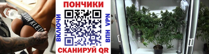 omg   Белорецк  Бошки марихуана планчик  сколько стоит 